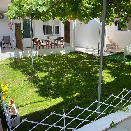 V-suites