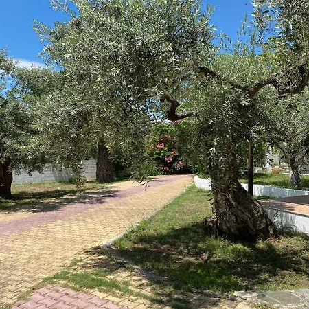 Apartment V-suites