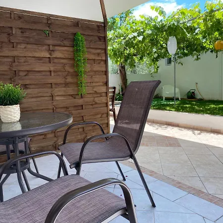 V-suites * ポトス