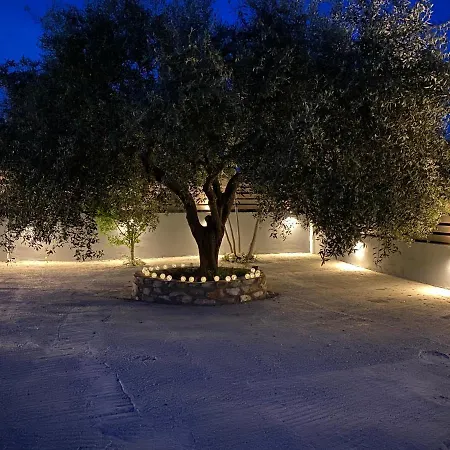 Appartement V-suites Potos