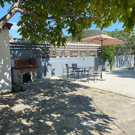 V-suites * ポトス