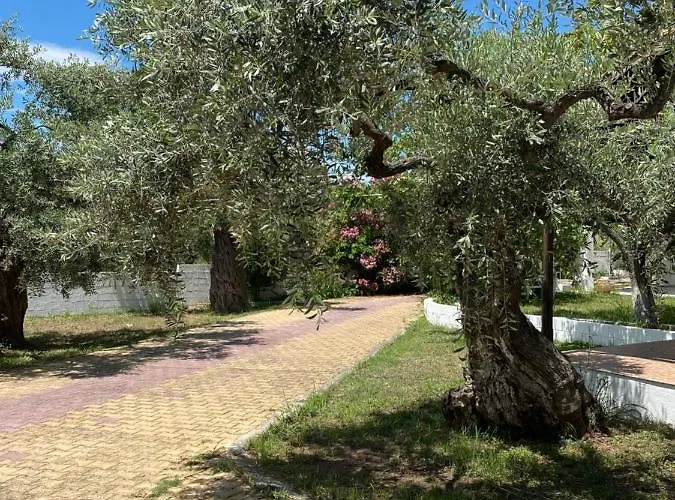 Apartament V-suites