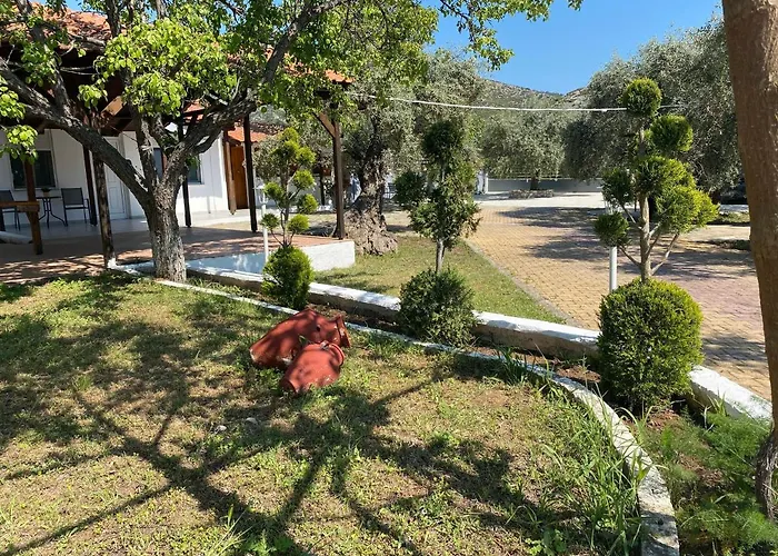 V-suites Appartamento Potos